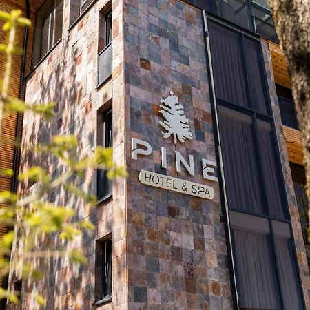 Pine Villas Brezovice Extérieur photo