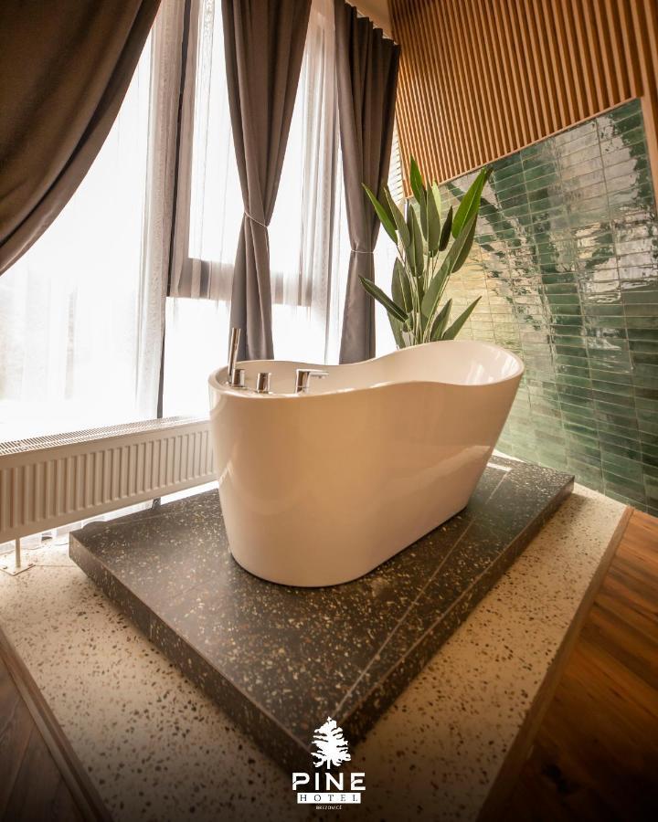 Pine Villas Brezovice Extérieur photo